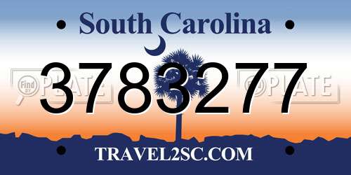 3783277 South Carolina License Plate