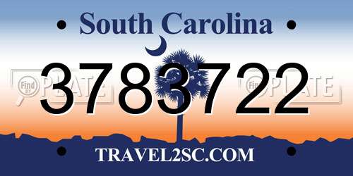 3783722 South Carolina License Plate