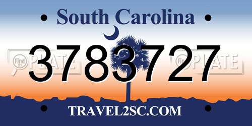 3783727 South Carolina License Plate
