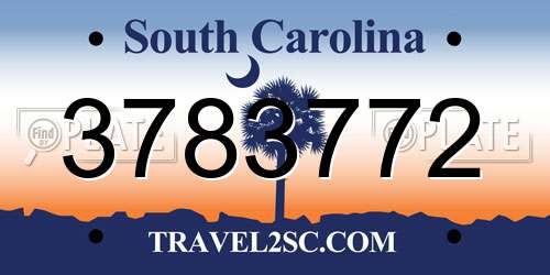 3783772 South Carolina License Plate