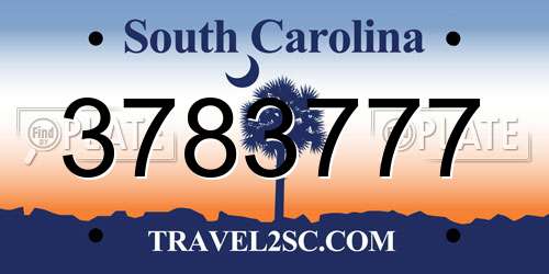 3783777 South Carolina License Plate