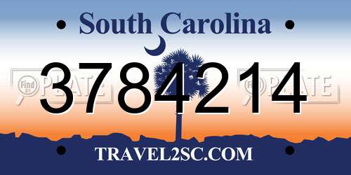 3784214 South Carolina License Plate