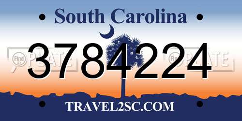 3784224 South Carolina License Plate