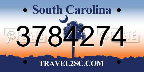 3784274 South Carolina License Plate