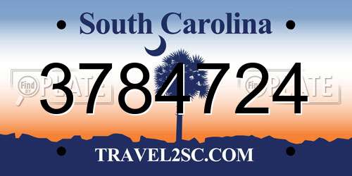 3784724 South Carolina License Plate