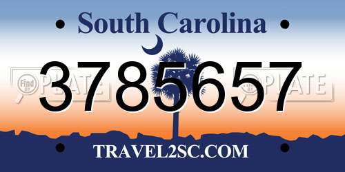 3785657 South Carolina License Plate