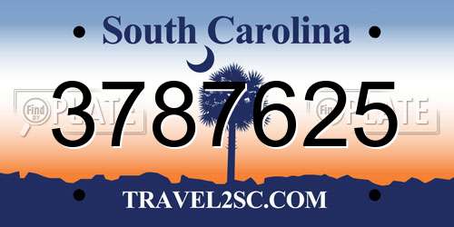 3787625 South Carolina License Plate
