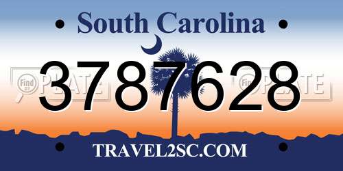 3787628 South Carolina License Plate