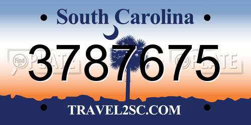 3787675 South Carolina License Plate
