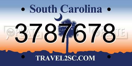 3787678 South Carolina License Plate