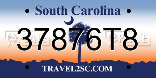 37876T8 South Carolina License Plate