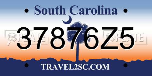 37876Z5 South Carolina License Plate
