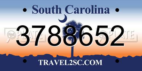 3788652 South Carolina License Plate
