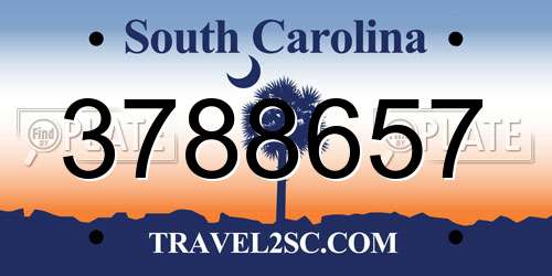 3788657 South Carolina License Plate