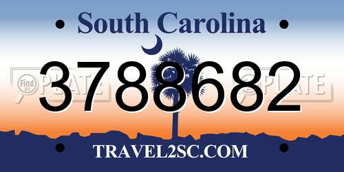 3788682 South Carolina License Plate