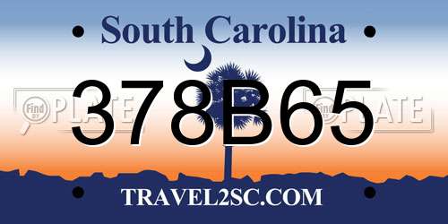 378B65 South Carolina License Plate