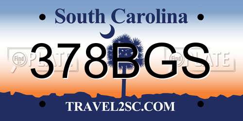 378BGS South Carolina License Plate
