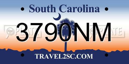 3790NM South Carolina License Plate
