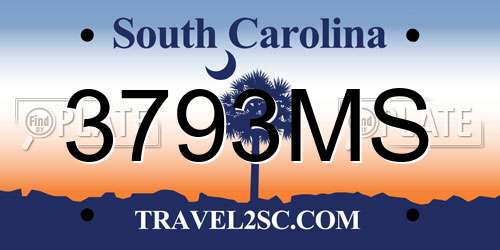 3793MS South Carolina License Plate