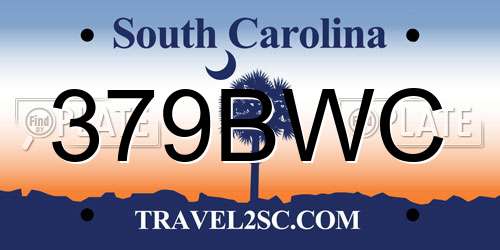 379BWC South Carolina License Plate