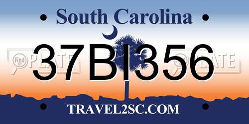37BI356 South Carolina License Plate