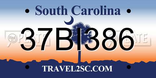 37BI386 South Carolina License Plate