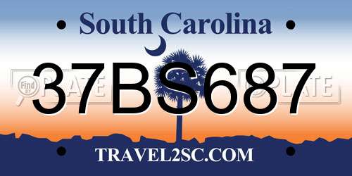 37BS687 South Carolina License Plate