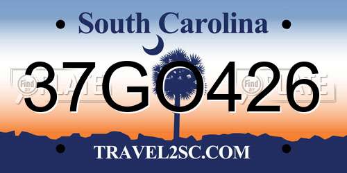 37GO426 South Carolina License Plate