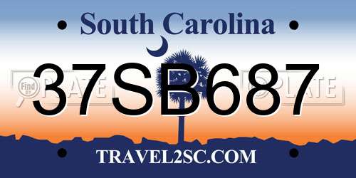37SB687 South Carolina License Plate