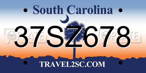 37SZ678 South Carolina License Plate