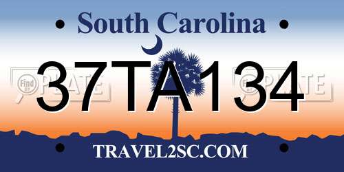 37TA134 South Carolina License Plate