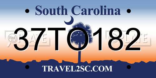 37TO182 South Carolina License Plate