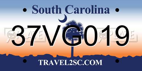 37VG019 South Carolina License Plate