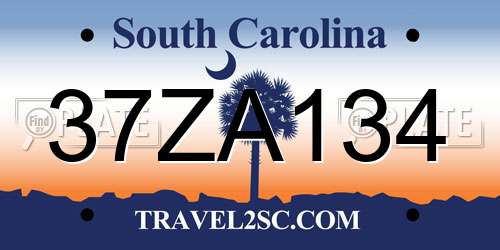 37ZA134 South Carolina License Plate