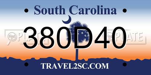 380D40 South Carolina License Plate
