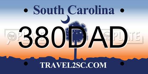 380DAD South Carolina License Plate