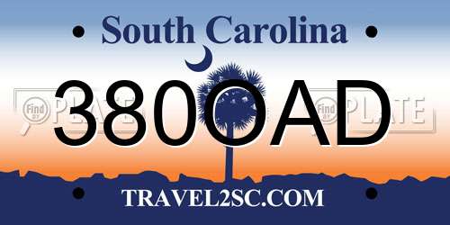 380OAD South Carolina License Plate