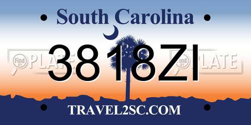 3818ZI South Carolina License Plate