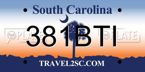 381BTI South Carolina License Plate