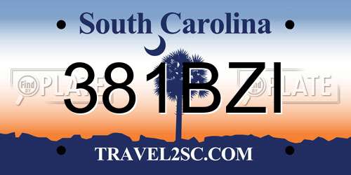 381BZI South Carolina License Plate