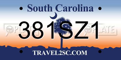 381SZ1 South Carolina License Plate