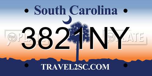 3821NY South Carolina License Plate