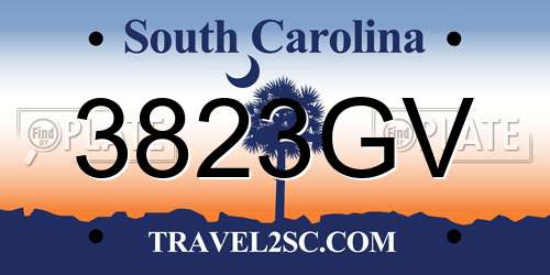 3823GV South Carolina License Plate