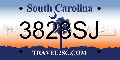 3828SJ South Carolina License Plate