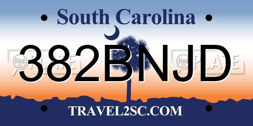 382BNJD South Carolina License Plate