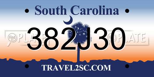 382J30 South Carolina License Plate