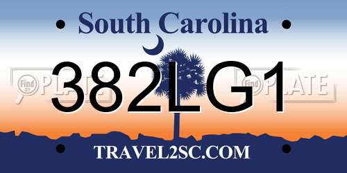 382LG1 South Carolina License Plate