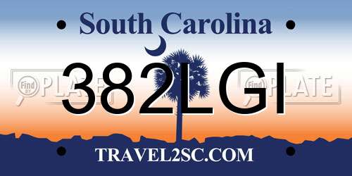 382LGI South Carolina License Plate