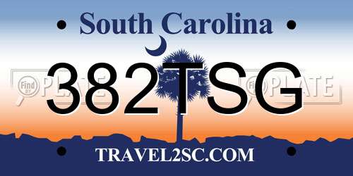 382TSG South Carolina License Plate