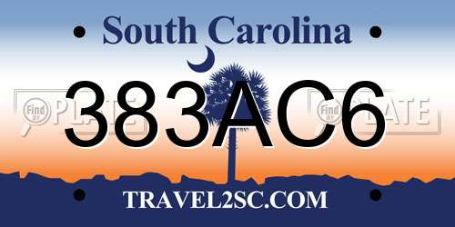 383AC6 South Carolina License Plate